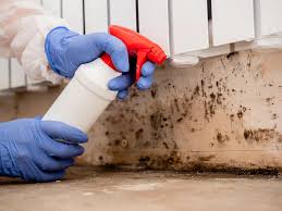 Best Commercial Mold Inspection in USA